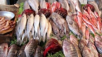 أسعار السمك اليوم الأربعاء 15 – 5 – 2024 في السوق المصري
