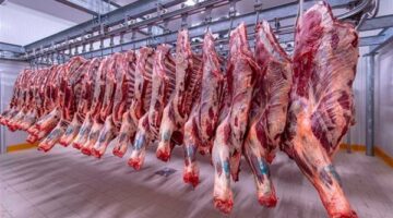 أسعار اللحوم البلدي اليوم الجمعة 17-5-2024 في الأسواق ومحال الجزارة بقنا