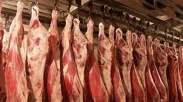 أسعار اللحوم فى الأسواق اليوم الأربعاء 15 مايو 2024