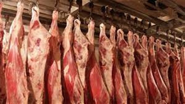 أسعار اللحوم فى الأسواق اليوم الأربعاء 15 مايو 2024