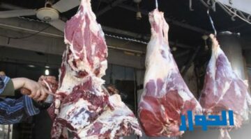 استقرار أسعار اللحوم الحمراء اليوم الاثنين 20 مايو