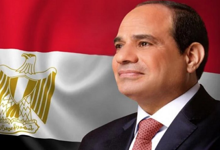 الرئيس السيسي يلتقى رشاد العليمي ويؤكد تمسك مصر بوحدة واستقرار اليمن