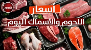 الريش الضاني بـ 450 جنيها.. أسعار اللحوم اليوم الخميس 16 مايو 2024