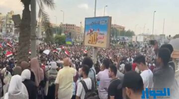 المصريين يؤدون جهود السيسي لدعم فلسطين بتظاهرات في الجزة وسوهاج |صور 