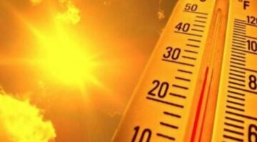 انخفاض بدرجات الحرارة بقيم تصل 5 درجات والعظمى بالقاهرة 34