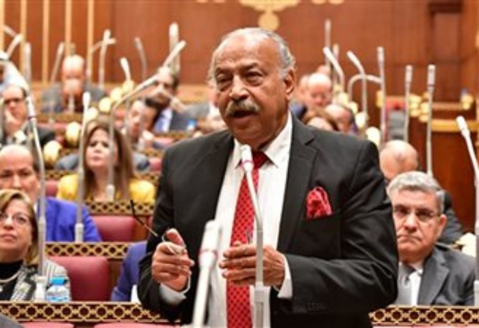 برلماني: القمة العربية تركز على «لاءات القاهرة الثلاث» دعمًا للقضية الفلسطينية