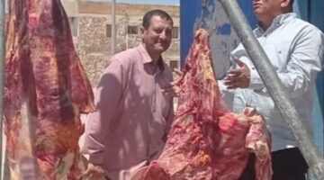 بـ300 جنيه.. رئيس طور سيناء يتابع مبادرة تخفيض أسعار اللحوم