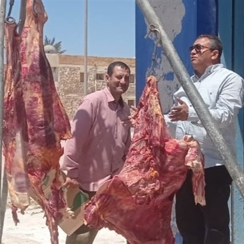 بـ300 جنيه.. رئيس طور سيناء يتابع مبادرة تخفيض أسعار اللحوم