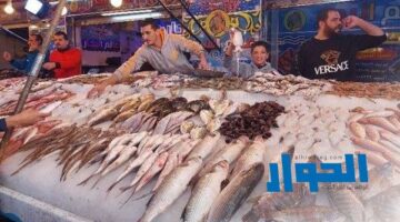 تباين أسعار الأسماك في سوق العبور الثلاثاء 21 مايو