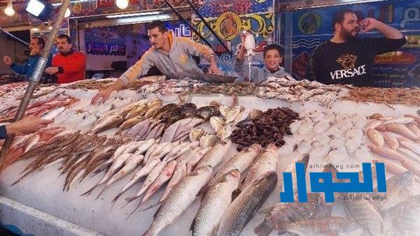 تباين أسعار الأسماك في سوق العبور الثلاثاء 21 مايو