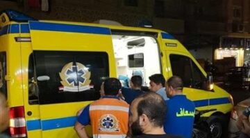 تحيا مصر ينشر أسماء المصابين في حادث تصادم سيارتي ميكروباص بربع نقل بالدقهلية