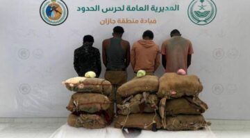 حرس الحدود بجازان يقبض على 4 مخالفين لنظام أمن الحدود لتهريبهم 75 كيلوجرامًا من نبات القات المخدر