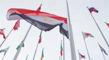 رفع العلم المصري داخل مقر الوكالة الدولية لبحوث السرطان بـ«ليون» بعد انضمام مصر لعضويتها
