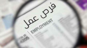 من سن 21 حتى 40 سنة من حملة المؤهلات العليا .. وزارة العمل تعلن عن 945 فرصة عمل في 13 محافظة