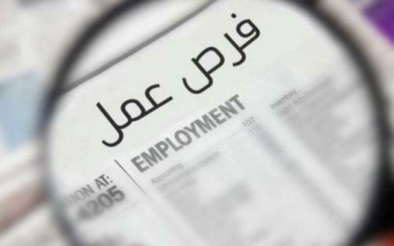 من سن 21 حتى 40 سنة من حملة المؤهلات العليا .. وزارة العمل تعلن عن 945 فرصة عمل في 13 محافظة