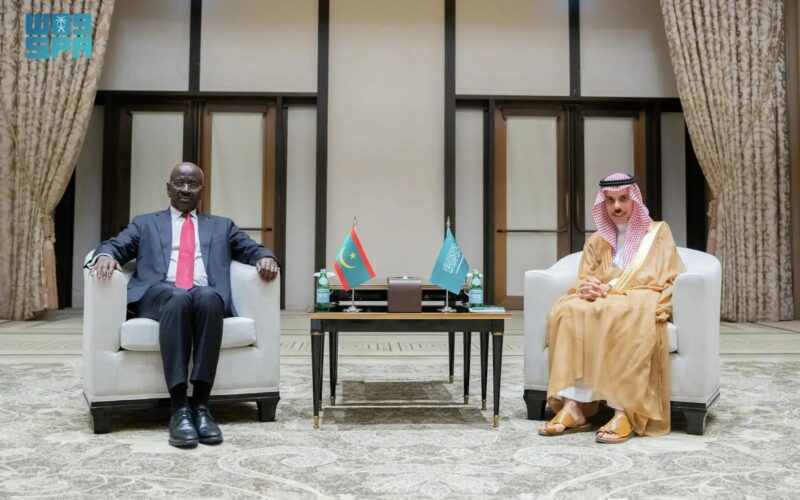 وزير الخارجية يلتقي وزير الخارجية الموريتاني
