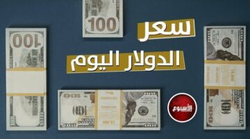 وصل كام النهاردة؟.. سعر الدولار في مصر اليوم الخميس 16-5-2024